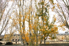 ©-Nosrat-Panahi-Nejad-Parigi-autunno-208-1